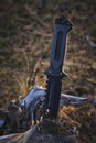 Tactical tourist knife stuck into tree stump against background sunset in forest. Royalty Free Stock Photo