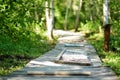 Tactile path in barefoot park created to feel the ground and other materials with bare feet. Strengthen foot and leg muscles by