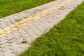 Tactile paving on pedestrian walkway with a green grass on both sides