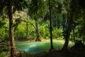Tad Sae Waterfall in Luang prabang province, Laos Royalty Free Stock Photo