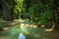 Tad Sae Waterfall in Luang prabang province, Laos Royalty Free Stock Photo