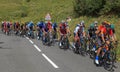 Tadej Pogacar riding in the Peloton - Criterium du Dauphine 2020