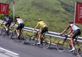 Tadej Pogacar in Yellow Jersey - Le Tour de France 2021