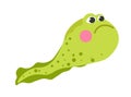 Tadpole or little froggy swimming, water creature Royalty Free Stock Photo