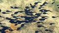 Tadpoles