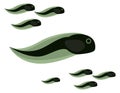 Tadpoles swimming. Amphibian babies. Little frogs or toads Royalty Free Stock Photo