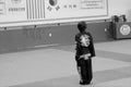 Tae Kwon Do / Korean Martial Arts Royalty Free Stock Photo