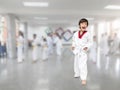 Taekwon-Do attention stance