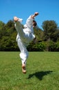 Taekwondo Royalty Free Stock Photo