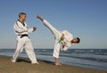 Taekwondo Royalty Free Stock Photo