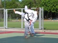 Taekwondo