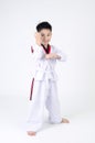 Taekwondo action by a asian cute boy Royalty Free Stock Photo