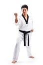 Taekwondo action Royalty Free Stock Photo