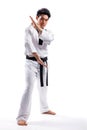 Taekwondo action