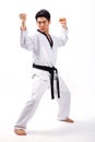 Taekwondo action Royalty Free Stock Photo