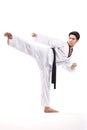 Taekwondo action Royalty Free Stock Photo