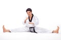 Taekwondo action Royalty Free Stock Photo