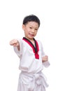 Taekwondo boy on white background Royalty Free Stock Photo