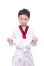 Taekwondo boy on white background Royalty Free Stock Photo