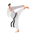 Taekwondo Fighter Illustration