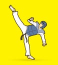 Taekwondo high kick action with guard equipment