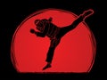 Taekwondo jump kick action with guard equipment