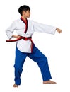 TaeKwonDo Karate Kid athlete young teenager show traditional Fighting