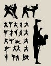 Taekwondo and Karate Silhouettes Royalty Free Stock Photo