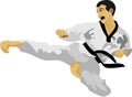 The Taekwondo Kick Korean Martial Art