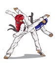 Taekwondo. Martial art Royalty Free Stock Photo