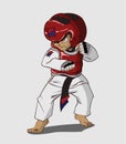 Taekwondo martial art Royalty Free Stock Photo