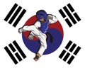Taekwondo martial art Royalty Free Stock Photo