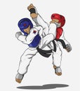 Taekwondo martial art Royalty Free Stock Photo