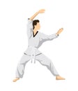 Taekwondo sport athlete. Royalty Free Stock Photo