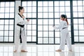 Taekwondo teacher and student show action of different postures in the room with glass windows