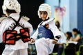 Taekwondo Tournament