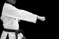Taekwondo Traditional Korean Fighter hand Punch