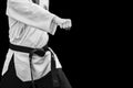 Taekwondo Traditional Korean Male Fighter Punch Fist