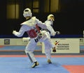 Taekwondo wtf tournament