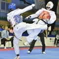 Taekwondo wtf tournament