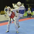 Taekwondo wtf tournament