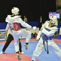 Taekwondo wtf tournament