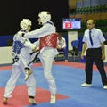 Taekwondo wtf tournament