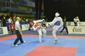 Taekwondo wtf tournament