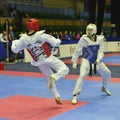 Taekwondo wtf tournament