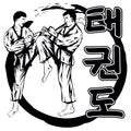 TaekwondoVer2