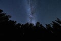 Taevaskoja, night forest and starry sky with the Milky Way. Galaxy\'s Royalty Free Stock Photo