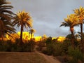 Tafarghoust village, Morocco, sunset, to escape Royalty Free Stock Photo