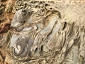 Tafoni rock in Coastal California, Bean Hollow State Beach