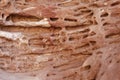 Tafoni weathering in red natural sandstone wall